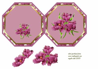 Florals of Colour