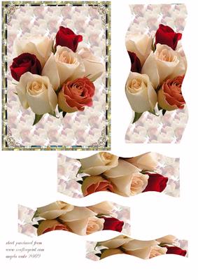Red and Peach Rose's
