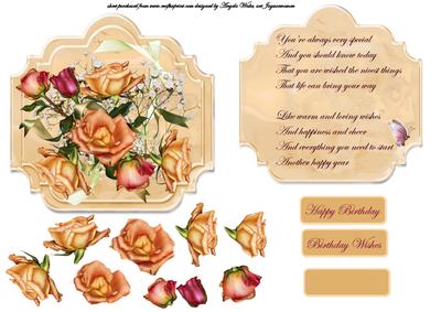 Peach Rose and Baby Breath Card Front