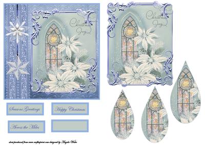 White Poinsettias