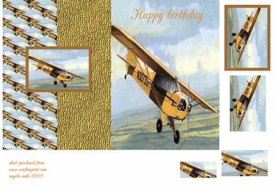 Piper Plane in Flight