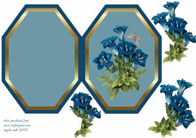 Blue Campanula