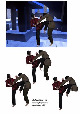 Black Belts Having a Fight Karate