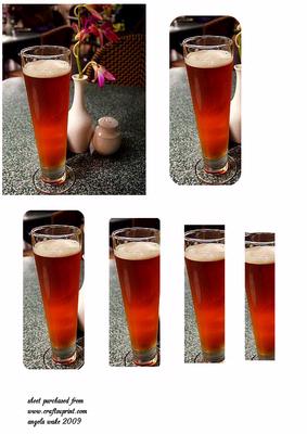A Glass of Pilsner