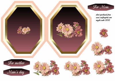 Pink Daisies for Mother