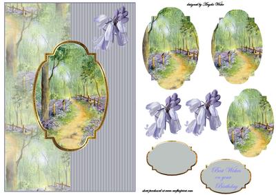 Path Through Bluebell Wood Card Front
