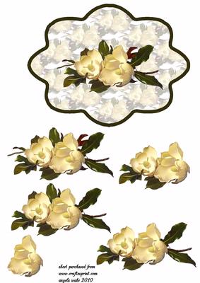 Scallop Camelias