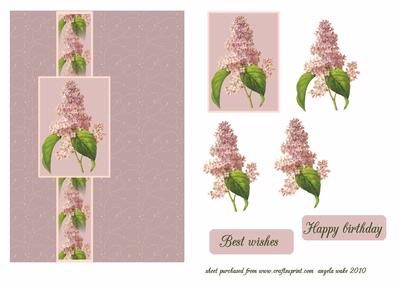 Lilac Blossom
