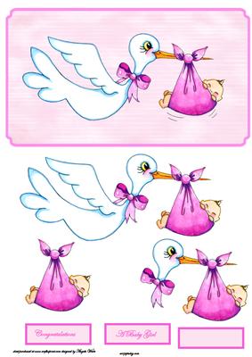 Stork Baby Carrier Baby Girl