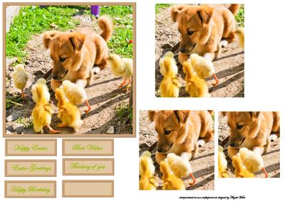 Puppy with Baby Chicks Card Front and Pyramid Layers