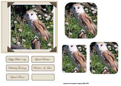 Barn Owl Card Front with Three Pyramid Layers