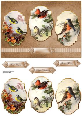Birds of a Feather Together Panel Card with Toppers