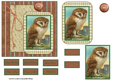 Owl Card Front with a Topper and Decoupage