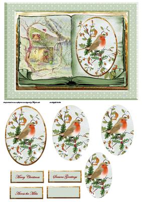 Robin Redbreast in the Garden Card