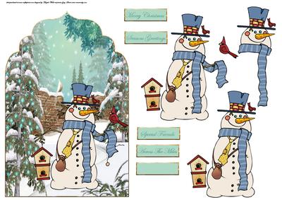 Snowman and His Bird Friends Card