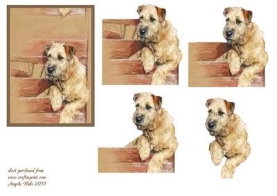 Suki Terrier Topper