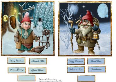 Bird Feeder and Explorer Gnome Toppers