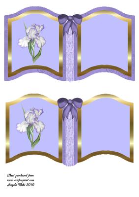 Iris and Bows Book Page 1