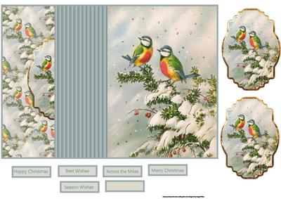 Birds in the Snow No Hole Fold Back Card