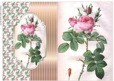 Pink Rose Fold Back Card