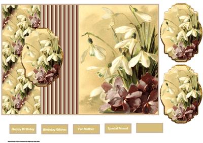 First Flowers of Spring Fold Back Card