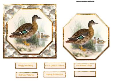 The Duck Family Card Front with a Topper