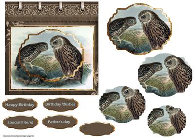 Owls at Dawn Card Front with Shaped Stackers