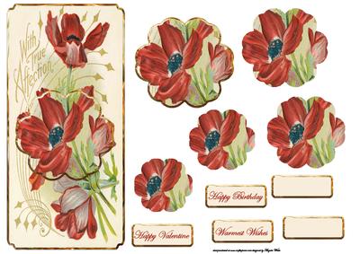 Poppy with Love Dl Card with Topper