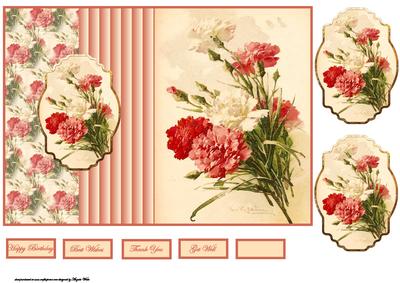 Red and Cream Carnations Fold Back Card