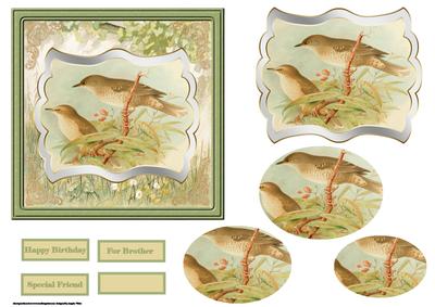 Barred Warblers Birds Card with Shaped Layers