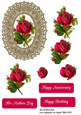 A Red Rose on Victorian Lace