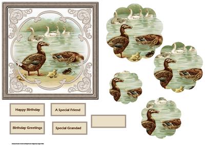 Ducks and Swans Swimming Card 3with Petal Stacker
