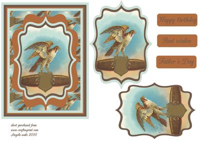 Bird of Prey Bracket Design
