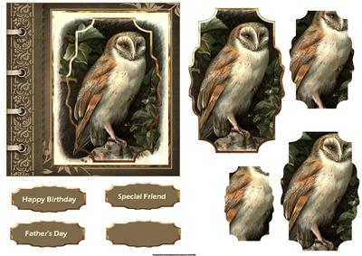 Old Barn Owl Card with Shaped Layers