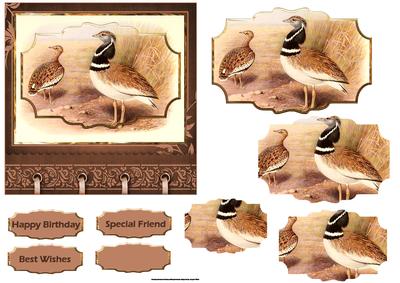 Tetrax Birds Card with Shaped Layers