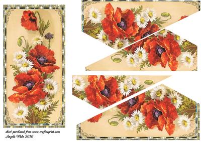 Poppies and Daisies
