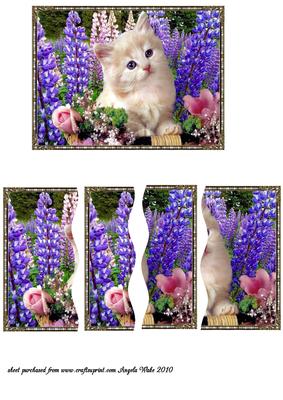 White Kitten Within the Lupin Flowers
