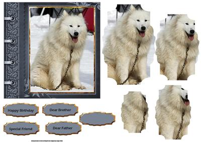 Husky Dog Card with Shaped Layers