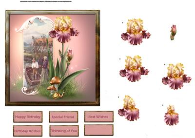 Pink Iris on the River Bank Card with Decoupage