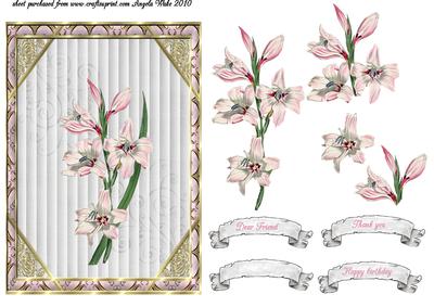 Pink Orchids Quick Card