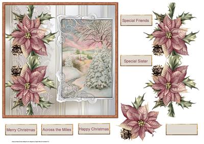 Snow Covered Trees and Poinsettia