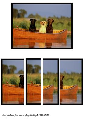 Doggies Day Out on the River