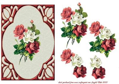 Three Lovely Roses Pink Red and White
