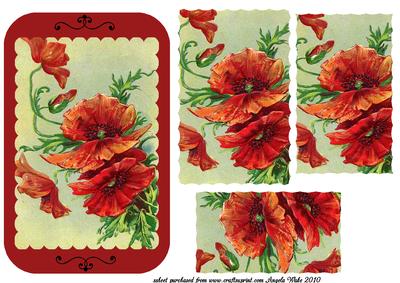 Scallop Red Poppies