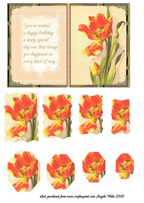 Tulips and Verse