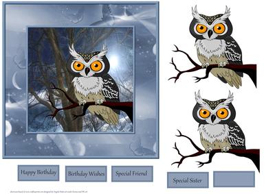 Night Owl in the Moonlight Card