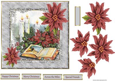 Bible, Holly and Poinsettias 7xx7 Card