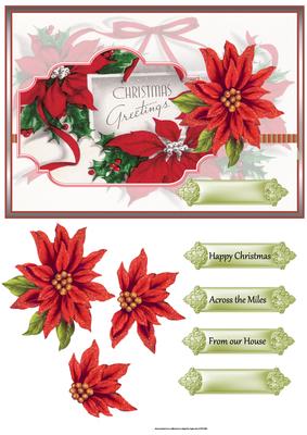 Red Poinsettias Greetings