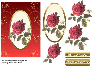 Anniversary Rose