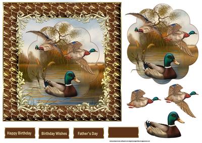 Swimming and Flying Mallards 7x7 Card